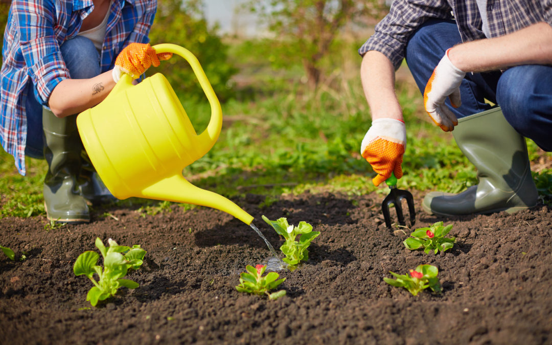 15 trucos de horticultura